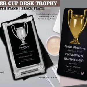 Winner Cup Desk Trophy with stand in premium gift box – Chardikala Promotional Products in India